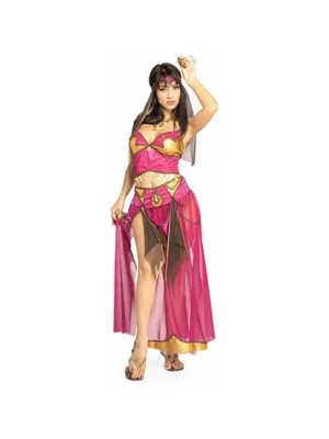 Adult Solome Belly Dancer Costume